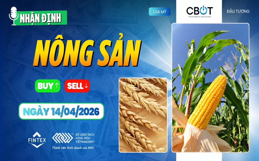 NHẬN ĐỊNH THỊ TRƯỜNG NÔNG SẢN NGÀY 14/04/2026